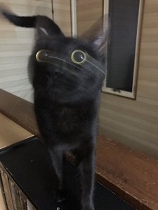 W1siziisijiwmtgvmdqvmtuvmjbfmzvfmjvfmju0x3vwmtmxmdcuanbnil0swyjwiiwidgh1bwiilciymzb4mzawpijdxq