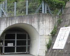 W1siziisijiwmtgvmdcvmtgvmdlfmznfmthfmjcyx3vwmtmyotuuanbnil0swyjwiiwidgh1bwiilciymzb4mzawpijdxq