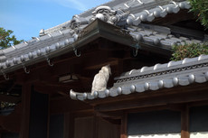 W1siziisijiwmtgvmtavmtmvmtrfmzffmdnfndu2x3vwmtmzmzquanbnil0swyjwiiwidgh1bwiilciymzb4mzawpijdxq