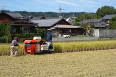 W1siziisijiwmtgvmtavmtmvmtvfmzlfmtnfnzqzx3vwmtmzmzyuanbnil0swyjwiiwidgh1bwiilciymzb4mzawpijdxq