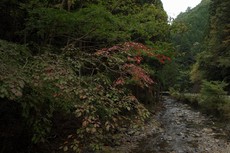 W1siziisijiwmtgvmtavmtyvmtvfmjrfntbfmtq1x3vwmtmzmzcuanbnil0swyjwiiwidgh1bwiilciymzb4mzawpijdxq