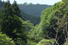 W1siziisijiwmtkvmduvmtmvmdlfntrfndrfnzk1x3vwmtm0mtkuanbnil0swyjwiiwidgh1bwiilciymzb4mzawpijdxq