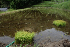 W1siziisijiwmtkvmduvmjkvmtdfmdnfmjrfmjq2x3vwmtm0ndmuanbnil0swyjwiiwidgh1bwiilciymzb4mzawpijdxq