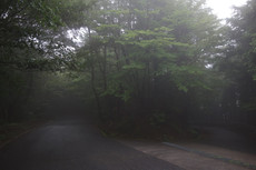 W1siziisijiwmtkvmdcvmjmvmthfmdzfmjhfmty0x3vwmtm0nziuanbnil0swyjwiiwidgh1bwiilciymzb4mzawpijdxq