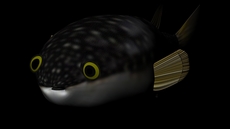 W1siziisijiwmtkvmdgvmtcvmdnfmzjfmzrfnziwx3vwmtm0otcuanbnil0swyjwiiwidgh1bwiilciymzb4mzawpijdxq