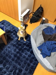 W1siziisijiwmtkvmtevmtgvmdhfndhfmdffndgxx3vwmtm1njeuanbnil0swyjwiiwidgh1bwiilciymzb4mzawpijdxq