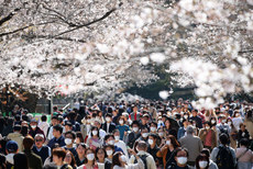 W1siziisijiwmjavmdmvmjivmdlfmdzfmtvfndgwx3vwmtm2nteuanbnil0swyjwiiwidgh1bwiilciymzb4mzawpijdxq