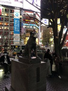 W1siziisijiwmjavmdmvmjgvmtlfmdvfntlfnjm4x3vwmtm2ntmuanbnil0swyjwiiwidgh1bwiilciymzb4mzawpijdxq