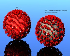 W1siziisijiwmjavmdqvmtivmdnfmtdfmzzfoti4x3vwmtm2njmuanbnil0swyjwiiwidgh1bwiilciymzb4mzawpijdxq