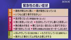 W1siziisijiwmjavmdqvmzavmddfmtrfmdvfntg0x3vwmtm2nzcuanbnil0swyjwiiwidgh1bwiilciymzb4mzawpijdxq