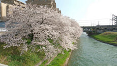 W1siziisijiwmjevmdmvmzavmtzfmdnfmzhfnta2x3vwmtm4ndeuanbnil0swyjwiiwidgh1bwiilciymzb4mzawpijdxq