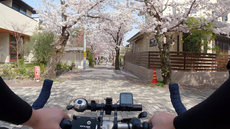 W1siziisijiwmjevmdmvmzevmdhfmtlfmdvfmty1x3vwmtm4ndmuanbnil0swyjwiiwidgh1bwiilciymzb4mzawpijdxq