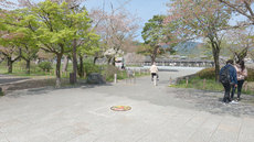 W1siziisijiwmjevmdqvmdyvmtrfmtdfmjnfntu3x3vwmtm4ntiuanbnil0swyjwiiwidgh1bwiilciymzb4mzawpijdxq