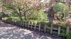 W1siziisijiwmjevmdqvmtqvmjnfmtnfndhfmtu1x3vwmtm4njeuanbnil0swyjwiiwidgh1bwiilciymzb4mzawpijdxq