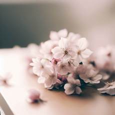 W1siziisijiwmjmvmdqvmjqvmjffnddfmdnfnzdfdxaxnda2nc5qcgcixsxbinailcj0ahvtyiisijizmhgzmda%2bil1d