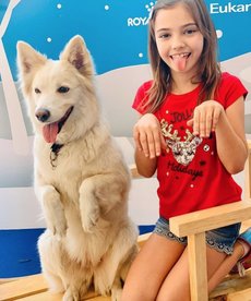 W1siziisijiwmjuvmdevmdkvmtffmdnfmdzfndaxx3vwmtq0mziuanbnil0swyjwiiwidgh1bwiilciymzb4mzawpijdxq