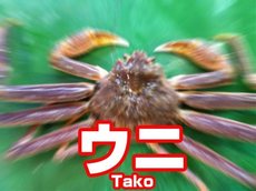 W1siziisijiwmjuvmtavmtivmtzfmzvfnthfoti5x3vwmtq1ndyuanbnil0swyjwiiwidgh1bwiilciymzb4mzawpijdxq